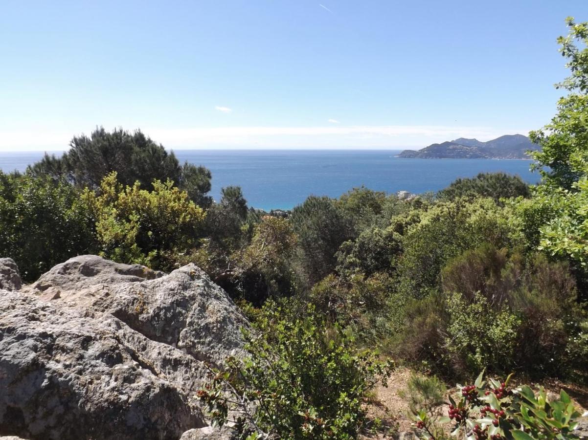 Appartement Luxueux 150m2 - Cannes Extérieur photo